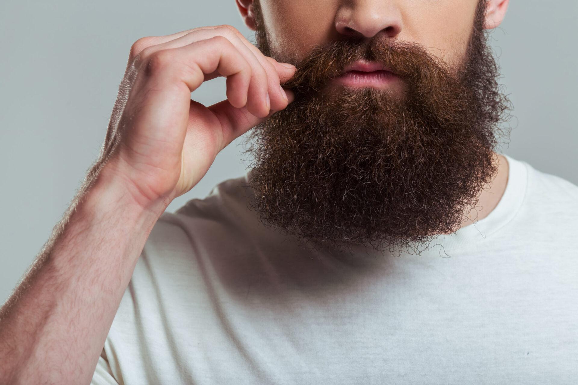 Beard Transplant Detail